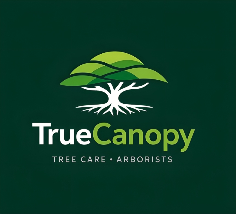 True Canopy Logo