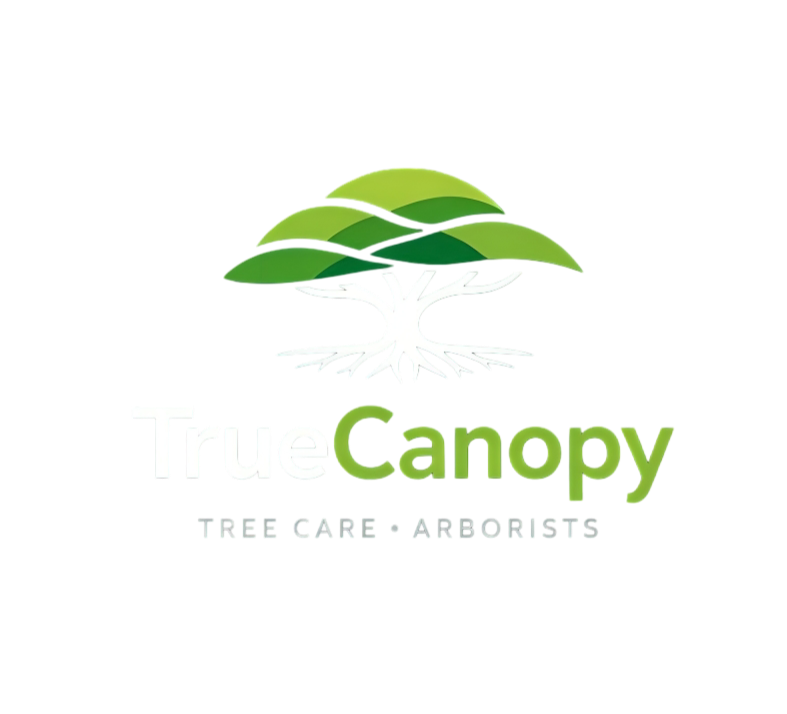 True Canopy Logo